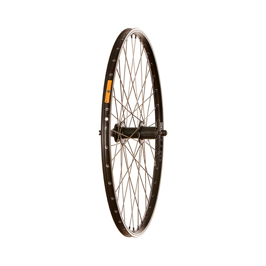 Wheel Shop, WTB DX18, Wheel, Front, 26'' / 559, Holes: 36, QR, 100mm, Rim and Disc IS 6-bolt