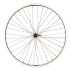 Wheel Shop, Evo Tour 19, Wheel, Front, 27'' / 630, Holes: 36, QR, 100mm, Rim