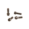 SRAM, Faceplate/Bolt Kit for SL Speed B1, 11.6518.015.000