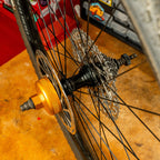 Pedros, Pro Socket Holder, Bottom Bracket Tool