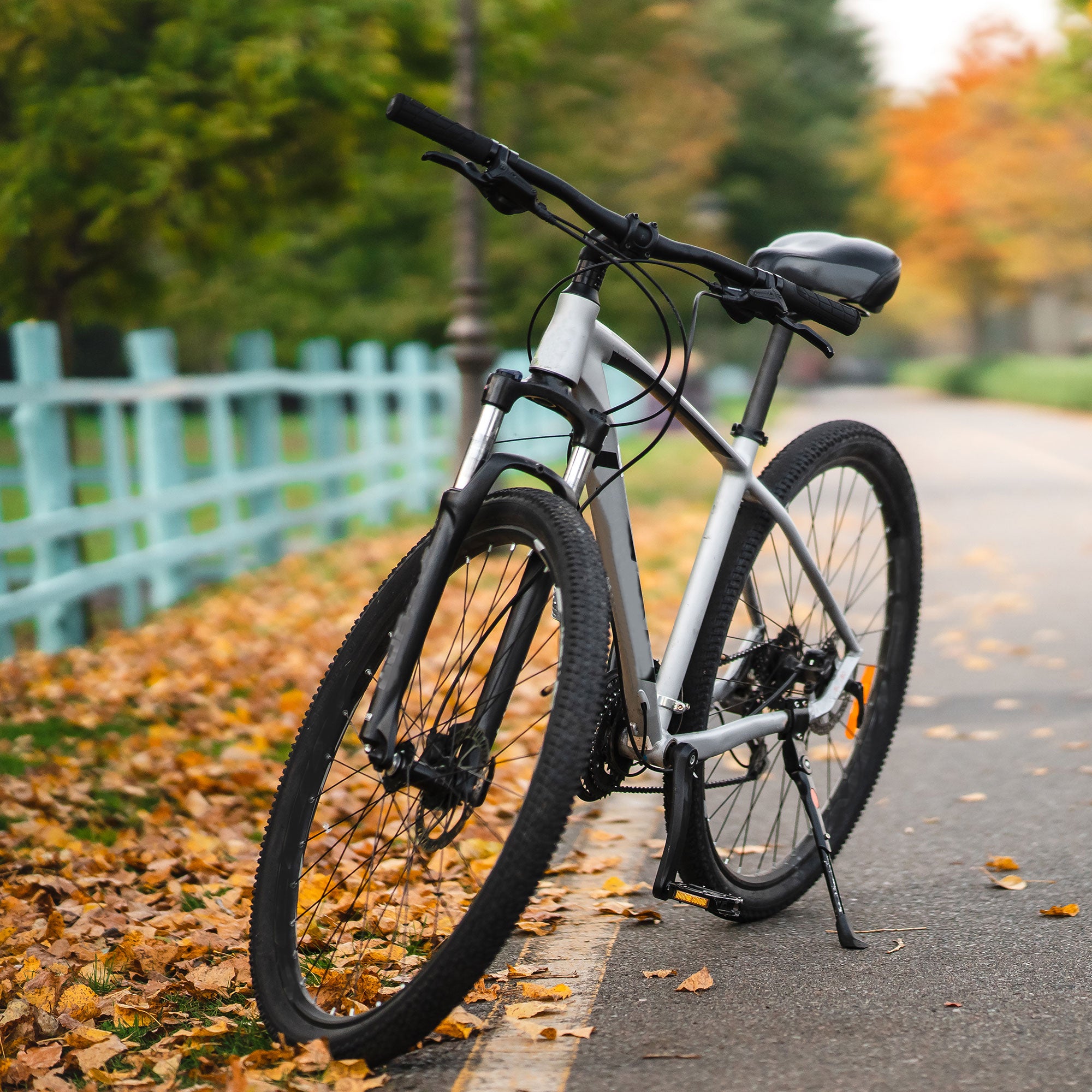 Barns to Beaches one day bicycle rental